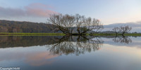 Nederrijn