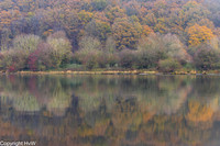 Grebbeberg