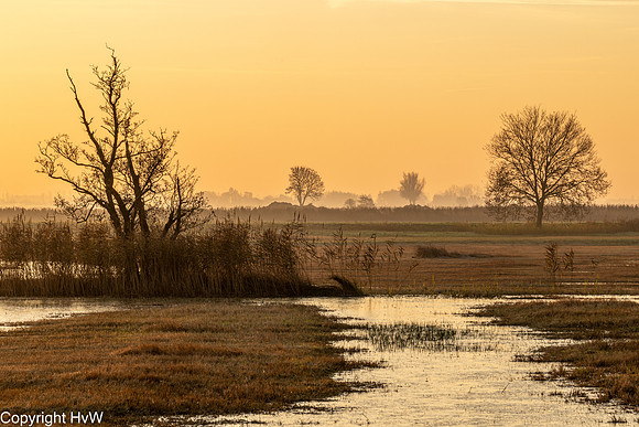 Binnenveld