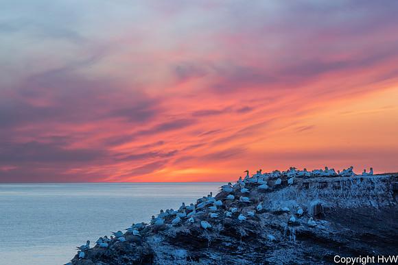 Avondrood