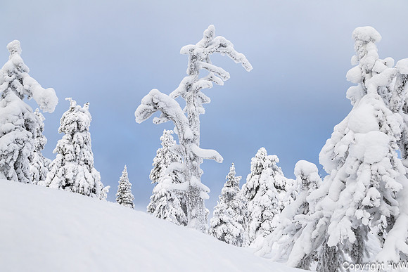 Valtavaara nationaal park
