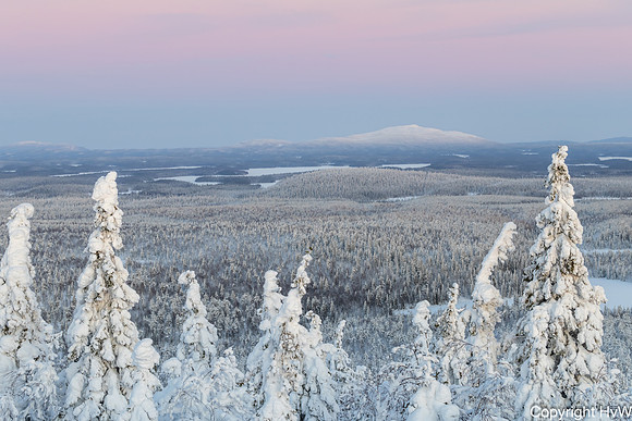 Kuntivaara, uitzicht op Rusland